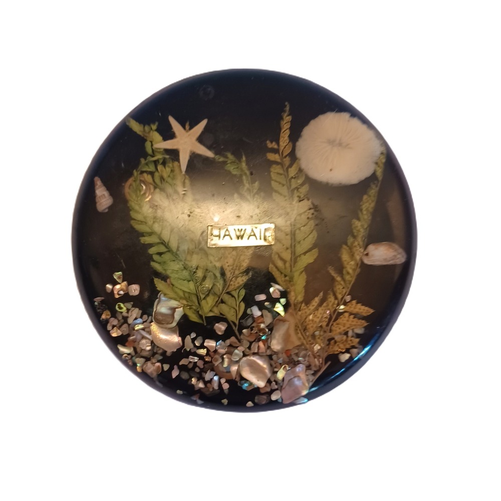 Hawaii Resin Fern Starfish Shell Decor - Picture 1 of 3